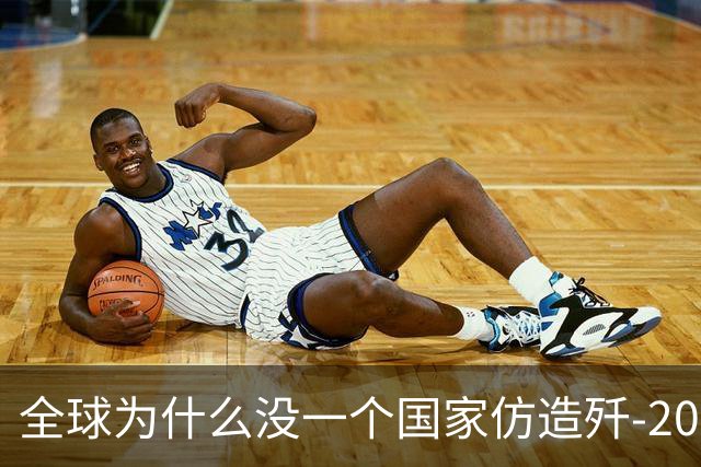 全球为什么没一个国家仿造歼-20，瑞典已破译！