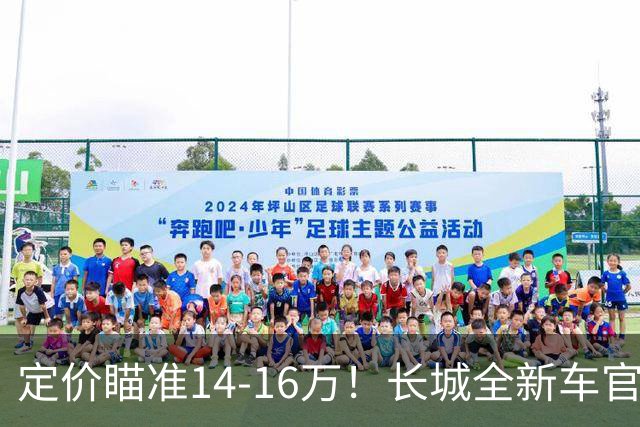 定价瞄准14-16万！长城全新车官宣，年内就能买到