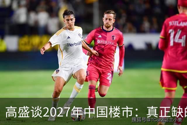 高盛谈2027年中国楼市：真正缺的可能不是房子，而是买房的人